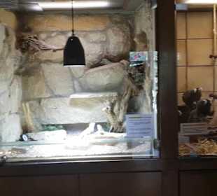Exotarium 