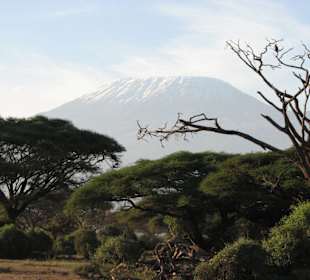 Im Nationalpark - Blick auf Kilimanjaro