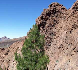 Teide