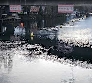 Letzte Ausstiegsstelle vor dem Höngger Wehr