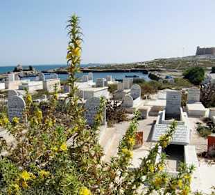 Muslimischer Friedfof