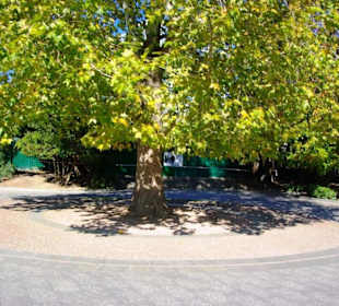 Promenade von Jalta Sehenswürdigkeiten