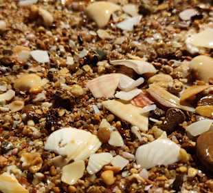 Praia de Nossa Senhora da Rocha