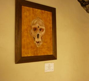 Ausstellung im Museum