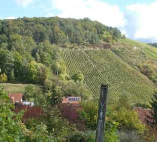 Weinbergswanderung Schoppen-Rundweg bei Ramsthal