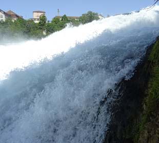 Am Rheinfall