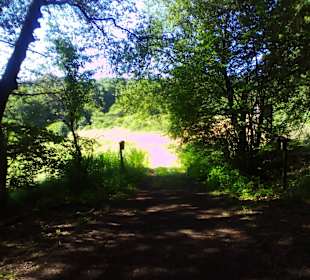 Natur und Vogellehrpfad Längwieser Wald Dittweiler