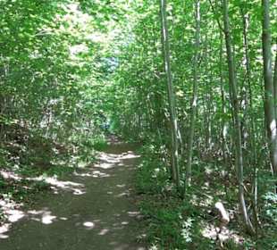Wanderweg Sieben-Täler-Runde 
