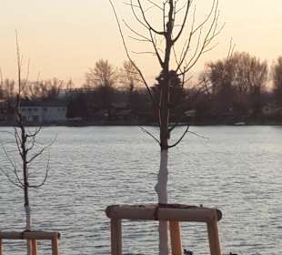  Donauinsel im Februar