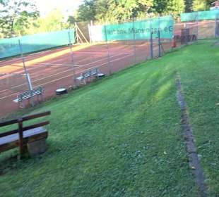 Tennisplätze Böhringen