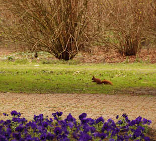 Anlage Planten un Blomen