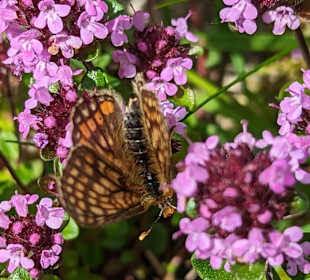 Wandern Bramberg am Wildkogel