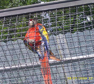 Urokliwe krakowskie ZOO.