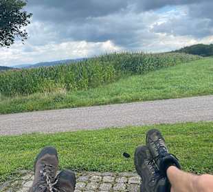Wandern Trassem