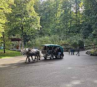 Pferdeshuttle zum Schloss