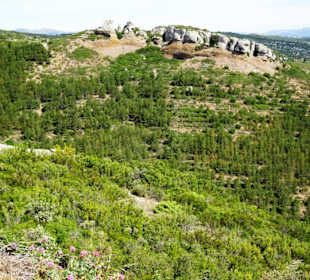 Blick von der Route des Crêtes auf das Hinterland