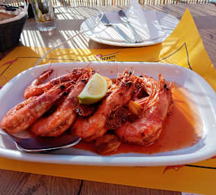 Strand Zambujeira do Mar