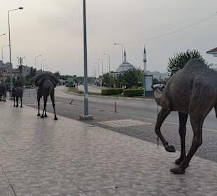 Stadtrundgang Evrenseki