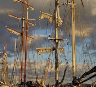 Traditionssegler im Kieler Hafen