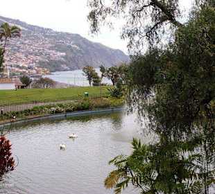 Madeira