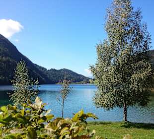 Hintersteinersee bei Scheffau