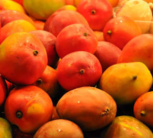 Mangos