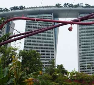 Marina Bay z ogrodu botanicznego