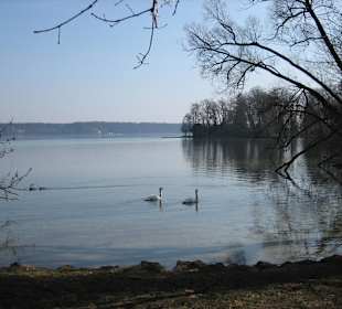 Starnberger See