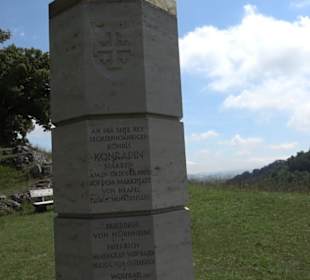 Burgruine Niederhaus