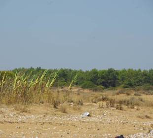 Natur pur, nur mal Ansehen