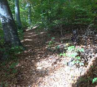 Premiumwanderweg hochgehkeltert Neuffen