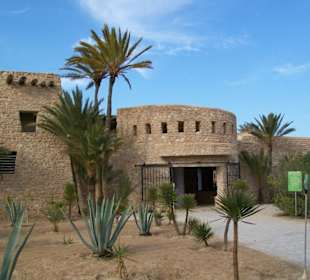 Eingang zur Krokodilsfarm