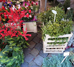 Impressionen vom Wochenmarkt Bamberg