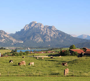 Wandern Rieden am Forggensee