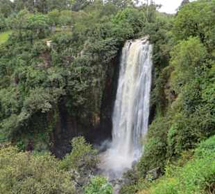 Thompson Falls