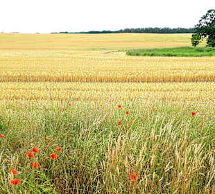 Wanderung Halbinsel Gnitz