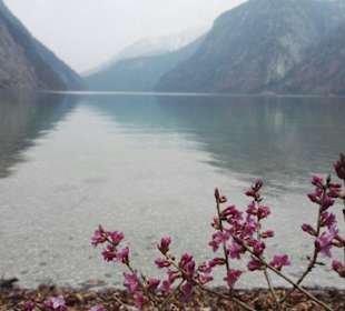Königssee halbe Stunde Busfahrt