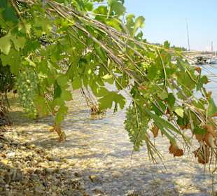 Lefkada plażowe atrakcje