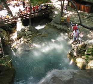 Forellenangeln und dann frisch auf den Tisch