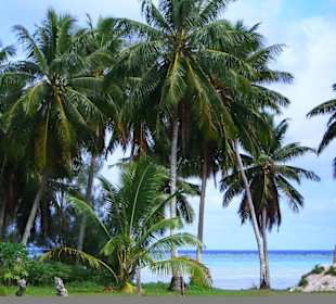 Vista dalla strada principale dell'isola