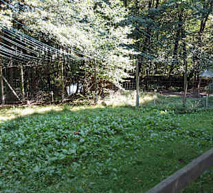 Wildpark Osterzgebirge