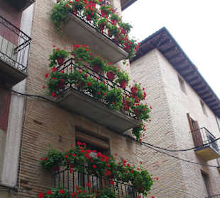 Пуэнте ла Рейна, Наварра