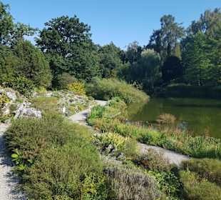 Botanischer Garten