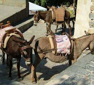 Der Eseltransfer von Lindos