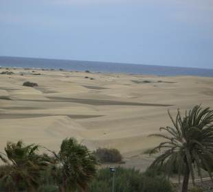 Dünen von Maspalomas