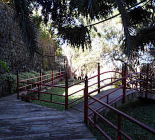 Taoro Parque 