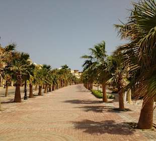 Palmengesäumte Strandpromenade