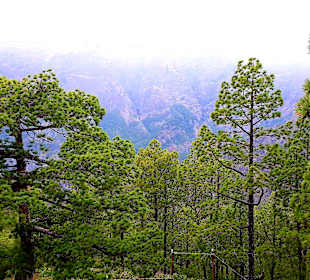 Traumhafte Landschaft