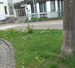 Pfarrer-Julius-Zodel-Platz