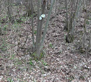 Wanderung rund um das Rusenschloss Gerhausen